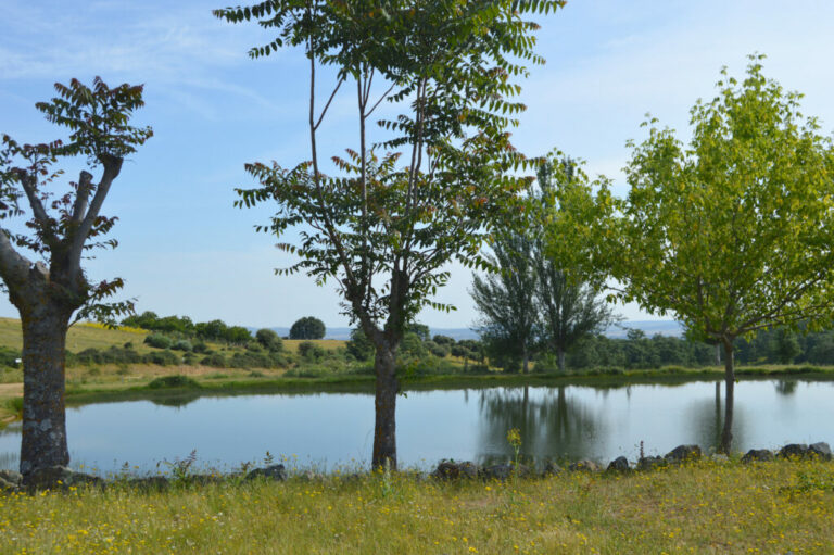 Navarredonda de la Rinconada