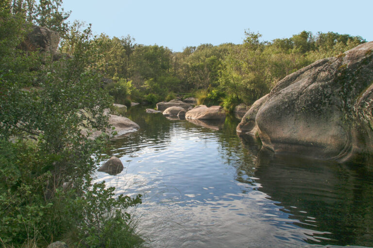 Villasrubias